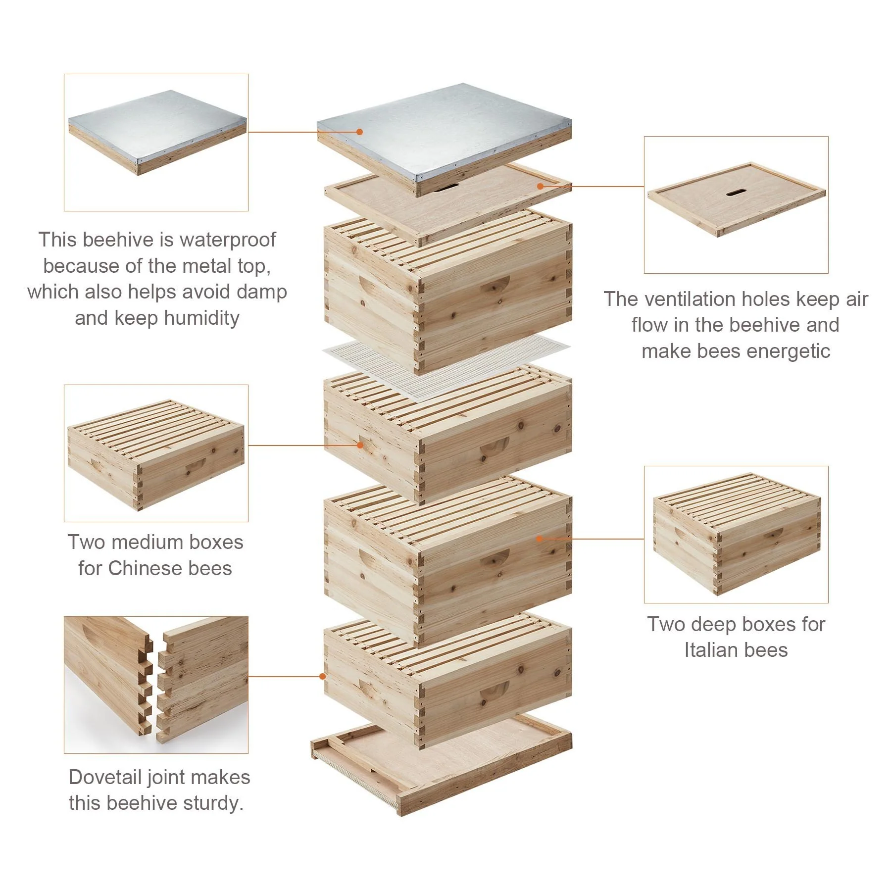 CO-Z 40-Frame Langstroth Beehive Kit, 4-Tier Bee Box with 20 Medium & 20 Deep Frames - Image 4