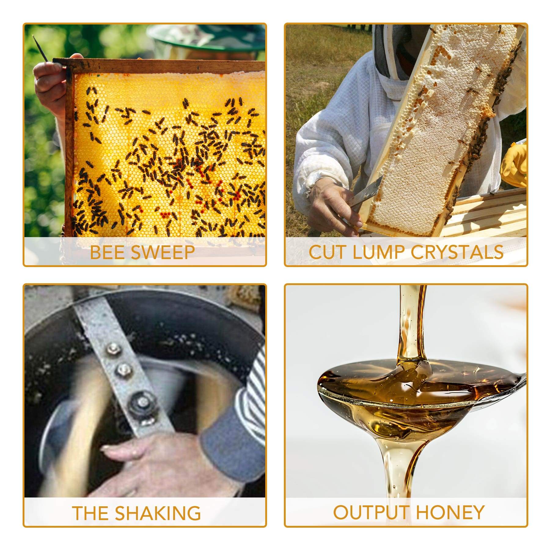 CO-Z Electric Honey Extractor 4 Frame, Honey Extractor Separator Bee Frame Spinner, Honeycomb Bee Frame Spinner, SS Motorized Honey Extractor Beekeeping Equipment Spinner Drum with Stand (4 Frame) - Image 6